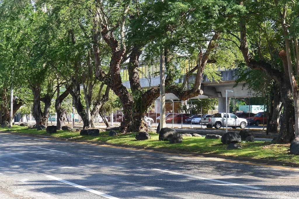 Zen Retreat City Center Near Train San Juan